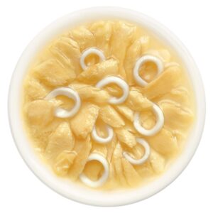 Cat Fest Cat Food Pouches – Salmon with Calamari in Tender Jelly - petsgalleria