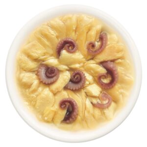 Cat Fest Cat Food Pouches – Salmon with Octopus in Tender Jelly - petsgalleria