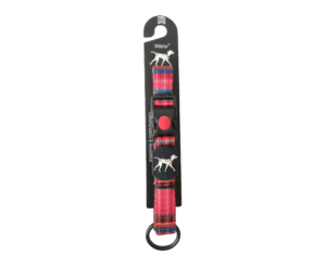 Chik Dog Collar - petsgalleria