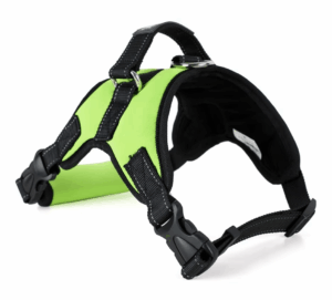 Chik Dog Harness - petsgalleria