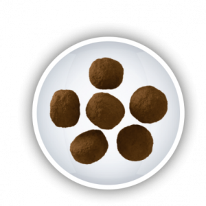 Josera Kitten Food by Pets Galleria Pet store