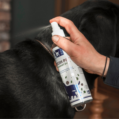 Fresh Pet Deodorant Spray Fresh Pet Deodorant Spray - petsgalleria