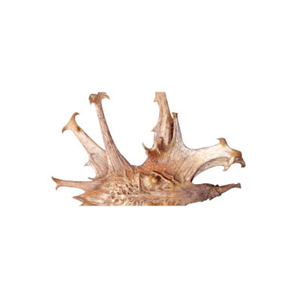 The Herbal Pet Pure Dried Devils Claw Powder The Herbal Pet Pure Dried Devils Claw Powder - Image 2