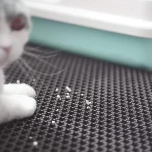 Non-slip Litter Mat - petsgalleria