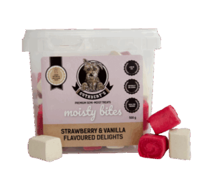 Strawberry & Vanilla Dog Treats - petsgalleria