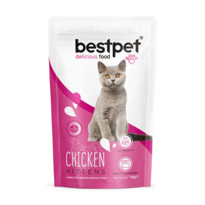 Bestpet Chicken Kitten Food - petsgalleria