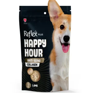 Reflex Happy Hour Dog Treats by Pets Galleria Pet Store