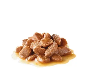 Royal Canin Hairball Care in Gravy by pets galleria pets store