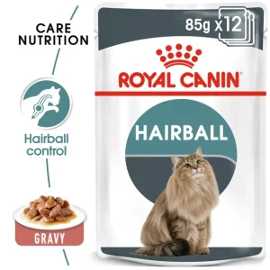 Royal Canin Hairball Care in Gravy by pets galleria pets store