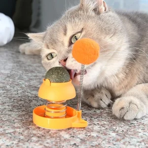 Catnip Ball Dispenser by pets galleria pets store orange